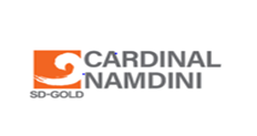 Cardinal Namdini Mining Limited